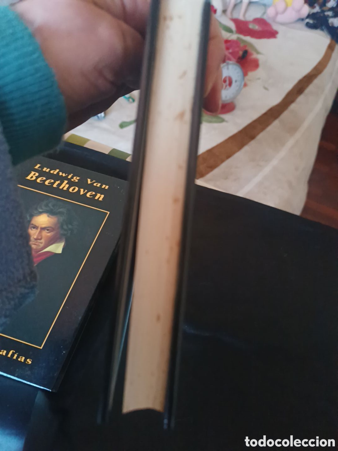 Libros: Dos biograf&iacute;as Cervantes y Beethoven - Foto 9