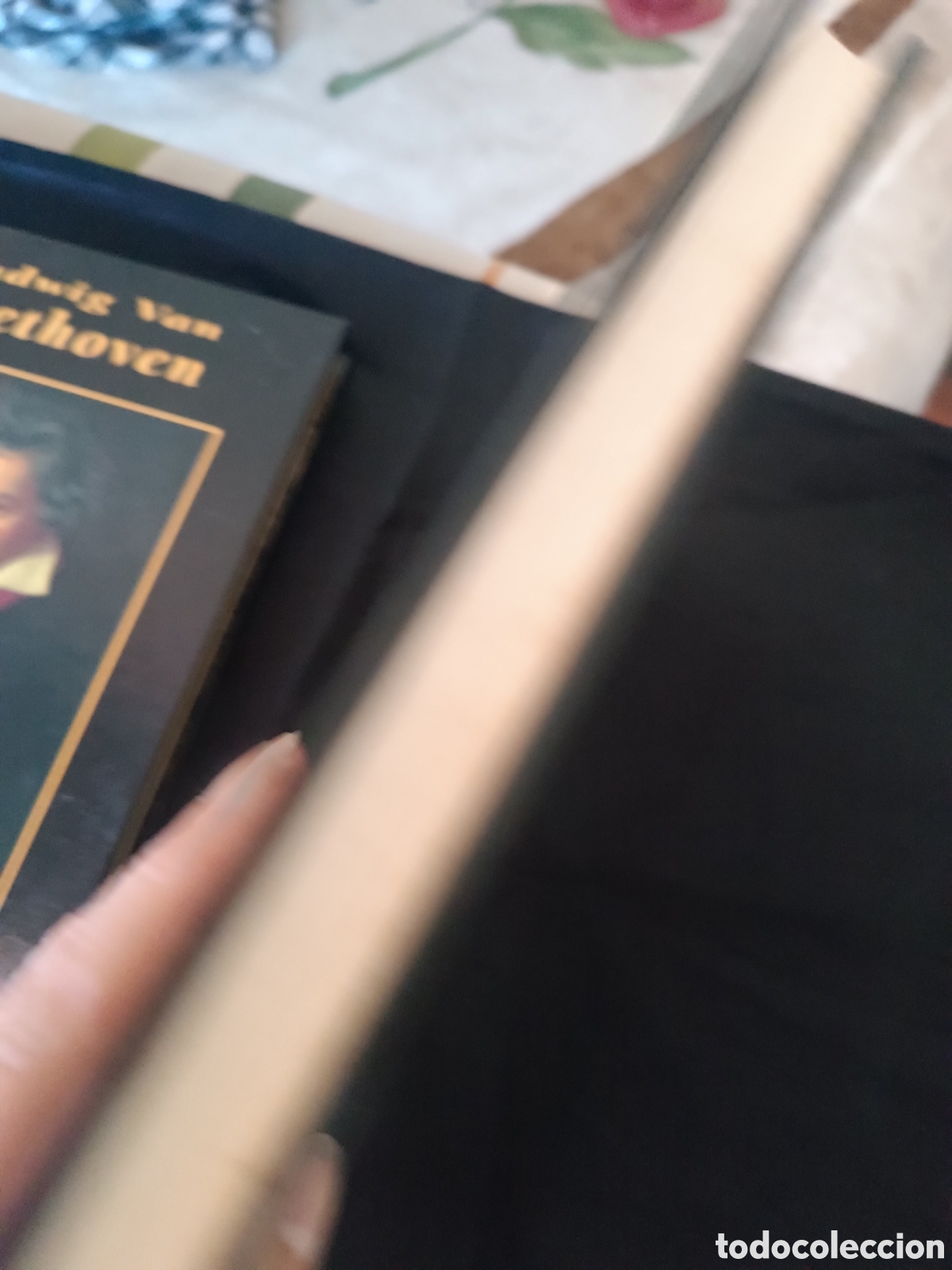 Libros: Dos biograf&iacute;as Cervantes y Beethoven - Foto 10