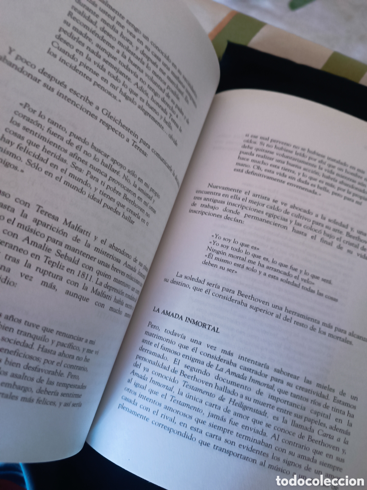 Libros: Dos biograf&iacute;as Cervantes y Beethoven - Foto 13