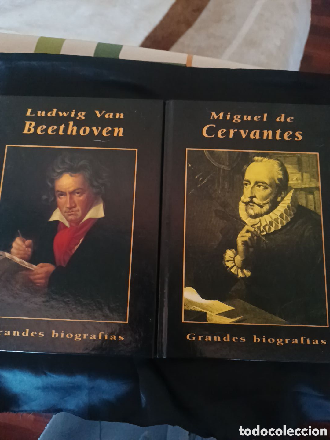 Libros: Dos biograf&iacute;as Cervantes y Beethoven - Foto 1