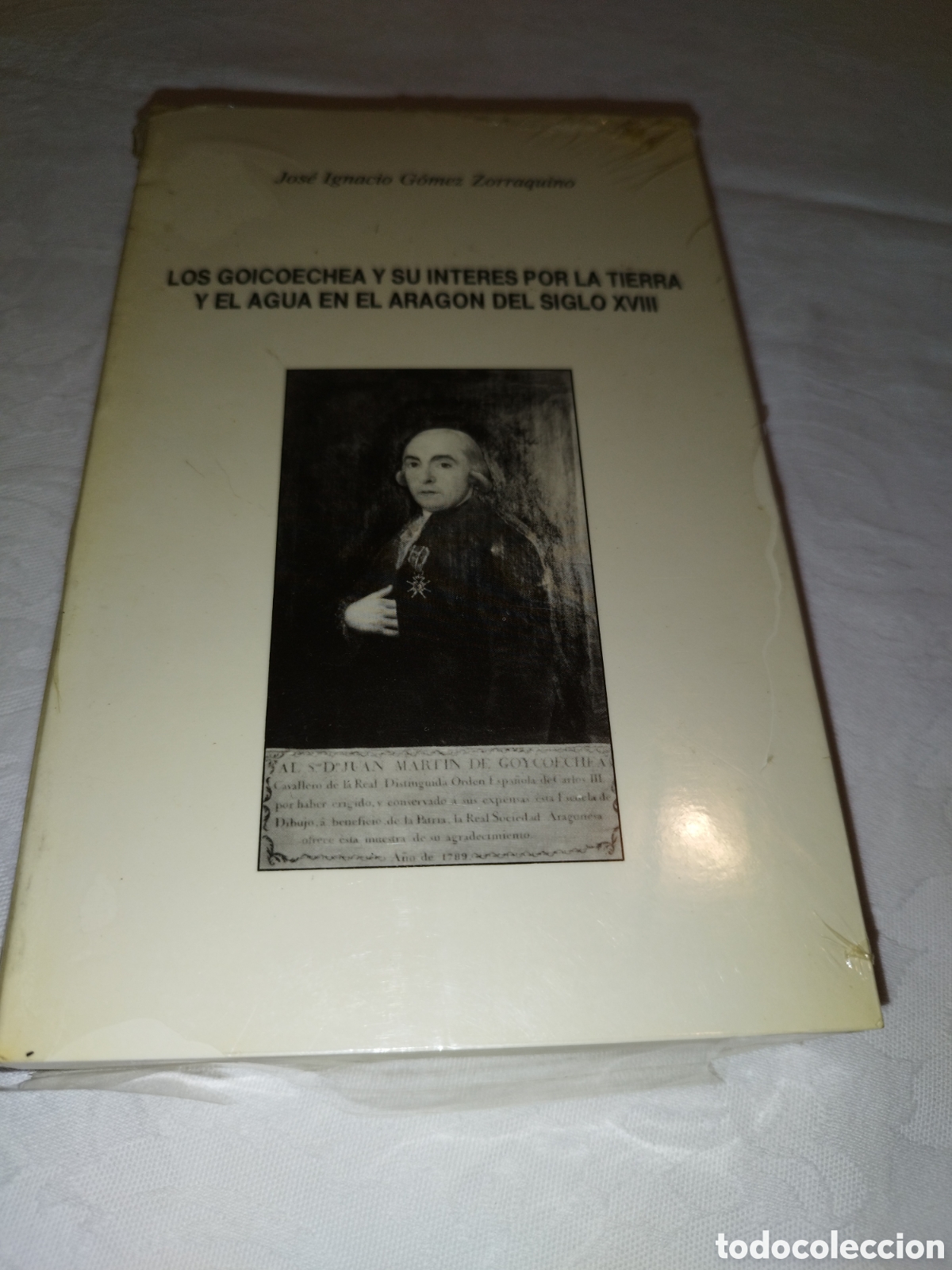 Libros: LOS GOICOECHEA Y SU INTERES POR LA TIERRA Y EL AGUA EN EL ARAGON DEL S. XVIII. DGA 1989 PRECINTADO