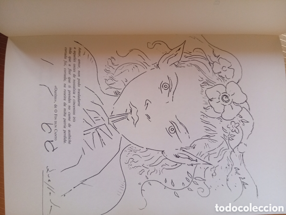 Libros: X. L. M&eacute;ndez Ferrin ( ano 1989 ) - Foto 5