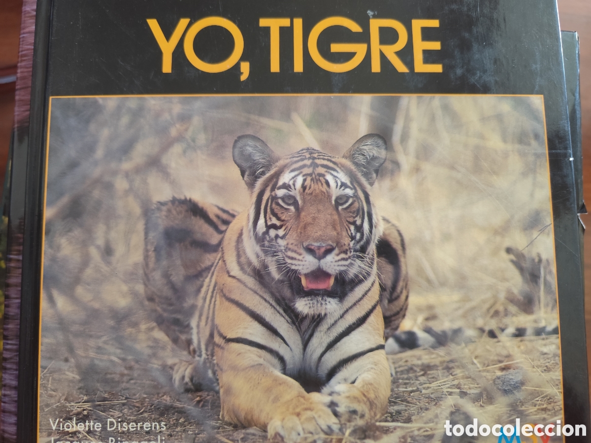 Libros: Yo, tigre por Violette Diserens