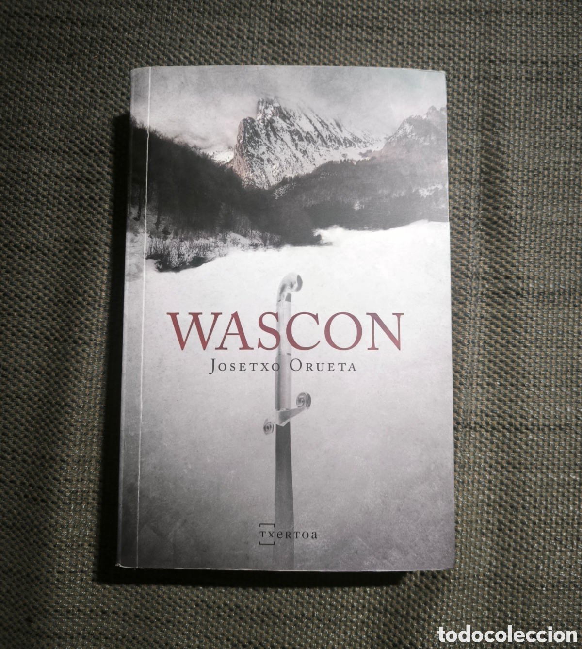 Libros: Wascon (Josetxo Orueta) (Txertoa)