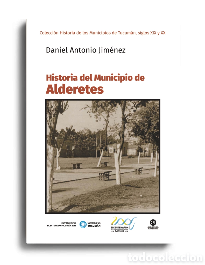 Libros: DANIEL ANTONIO JIM&Eacute;NEZ &ndash; HISTORIA DEL MUNICIPIO DE ALDERETES &ndash; LMD