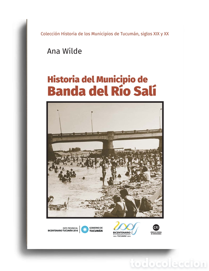 Libros: ANA WILDE &ndash; HISTORIA DEL MUNICIPIO DE BANDA DEL R&Iacute;O SAL&Iacute; &ndash; LMD