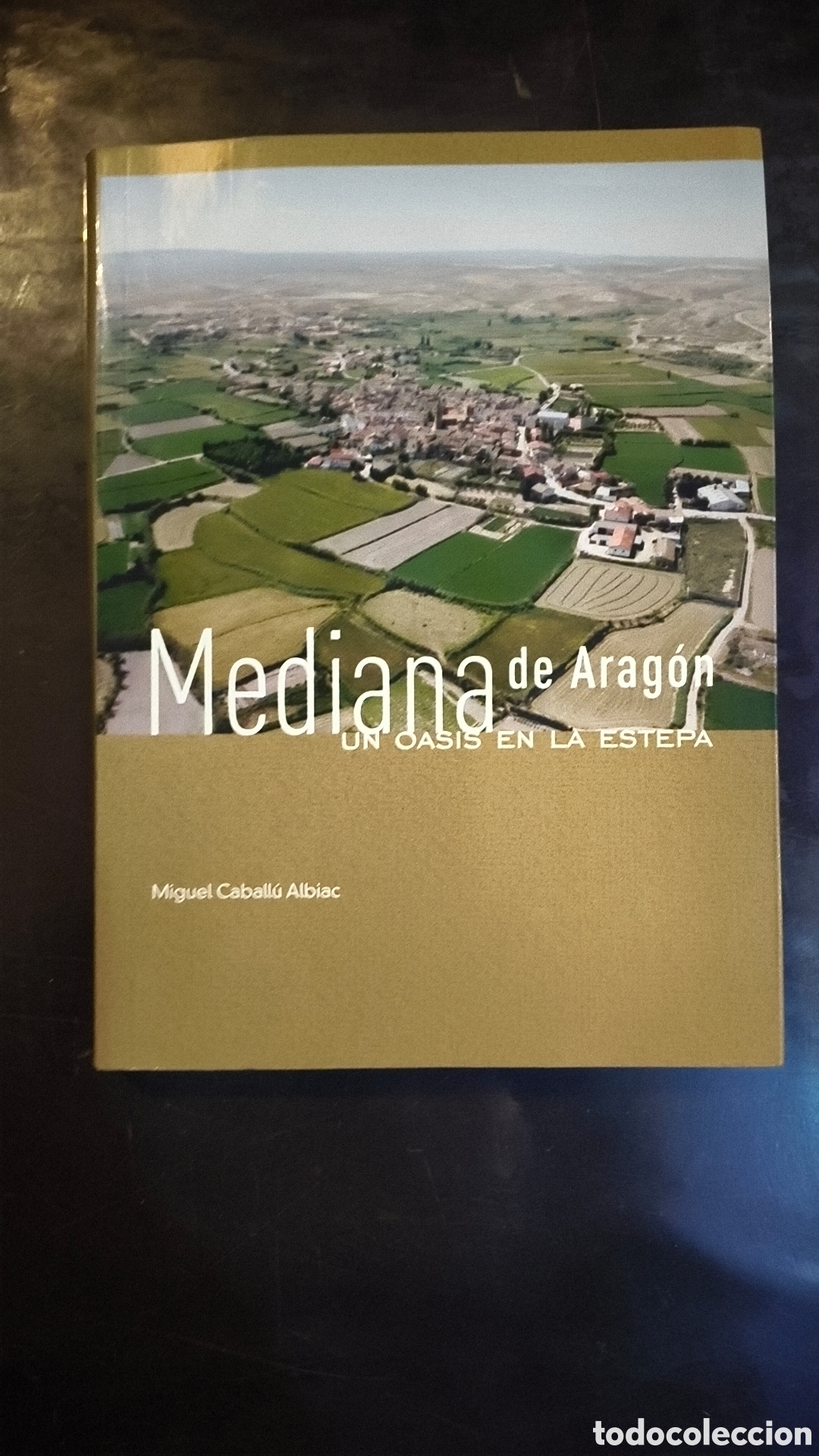 Libros: Libro mediana de Arag&oacute;n Zaragoza oasis estepa