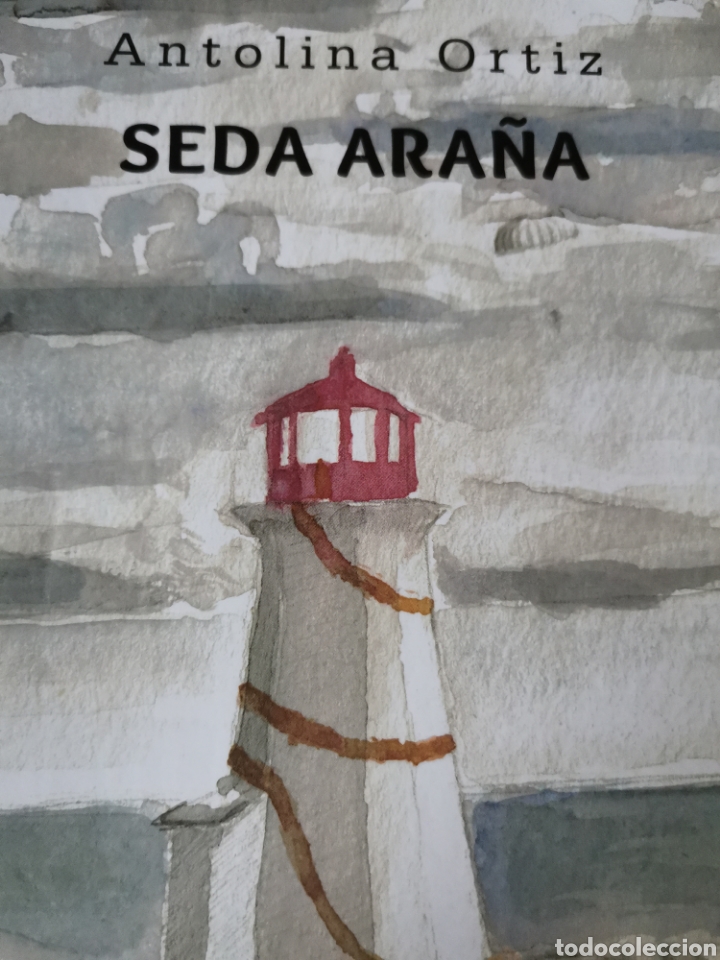 Libros: Seda Ara&ntilde;a - Foto 1