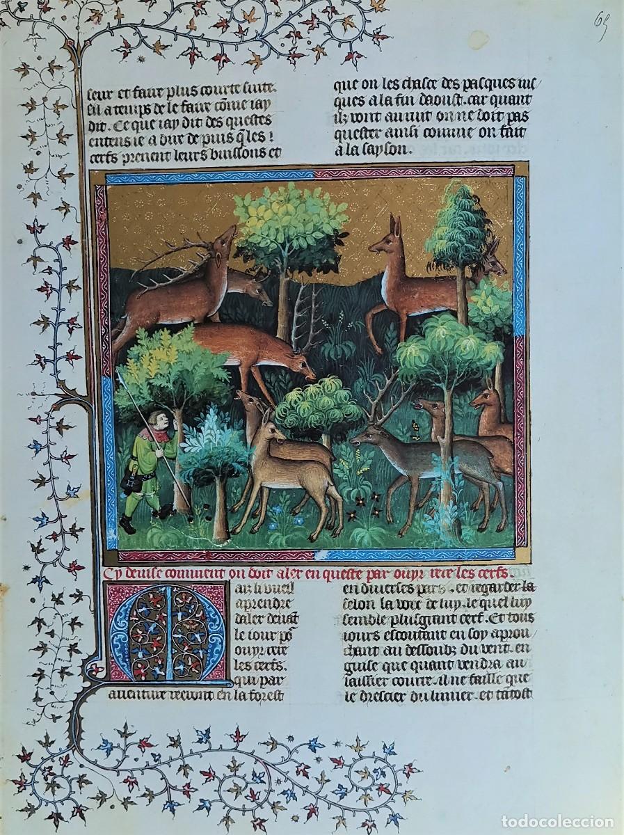 Libros: EL LIBRO DE LA CAZA. FACSIMIL. GASTON PHOEBUS - Foto 8