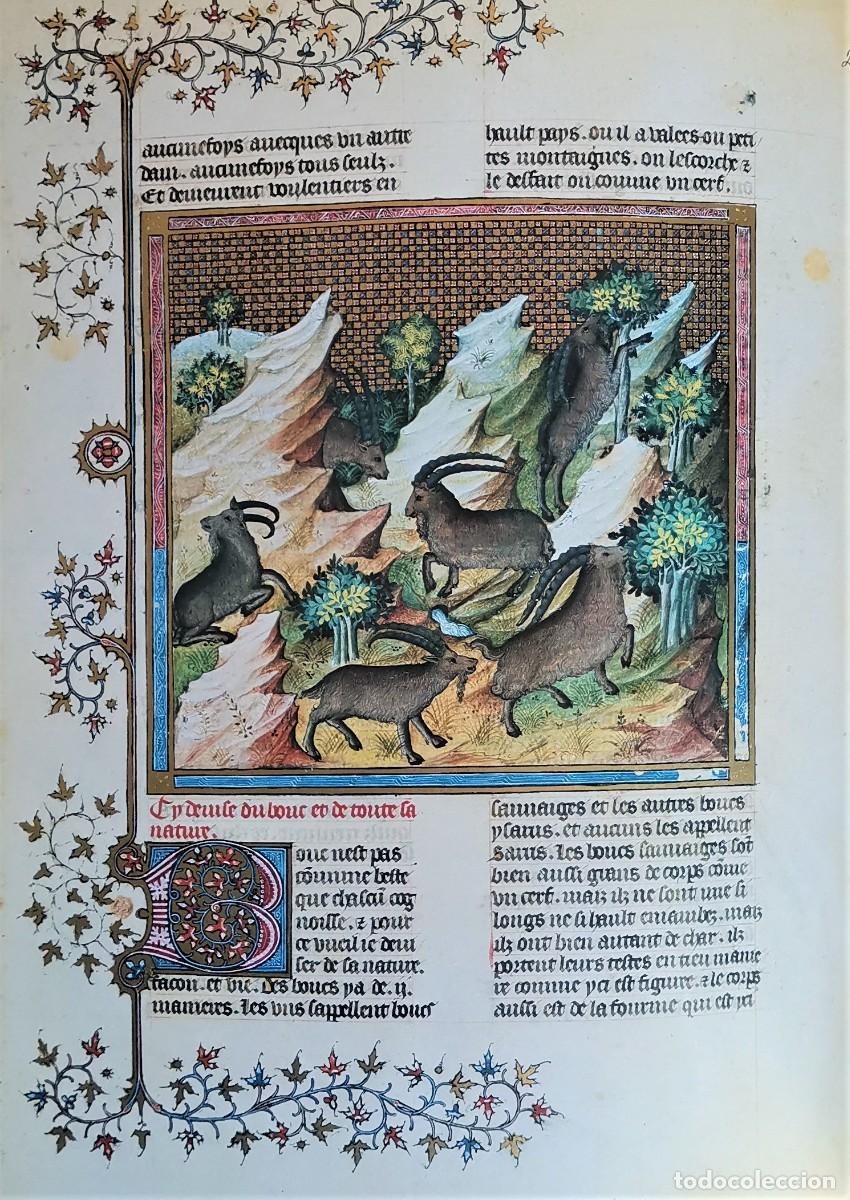 Libros: EL LIBRO DE LA CAZA. FACSIMIL. GASTON PHOEBUS - Foto 10