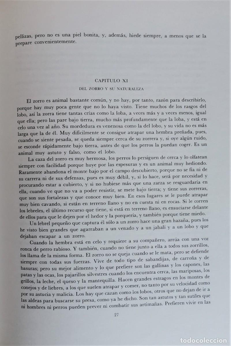 Libros: EL LIBRO DE LA CAZA. FACSIMIL. GASTON PHOEBUS - Foto 11