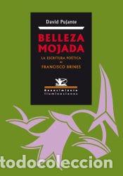 Libros: Belleza mojada - David Pujante - Foto 1