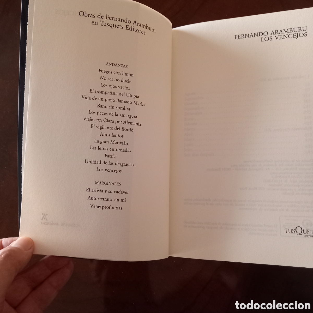 Libros: LOS VENCEJOS DE FERNANDO ARAMBURU.IMPECABLE. - Foto 5