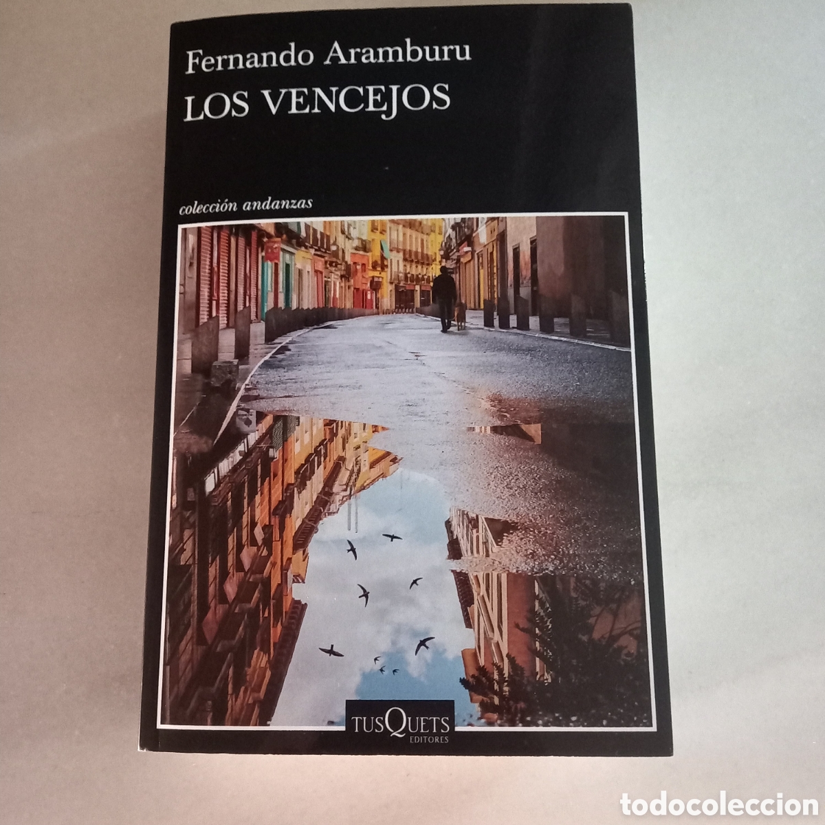 Libros: LOS VENCEJOS DE FERNANDO ARAMBURU.IMPECABLE. - Foto 1