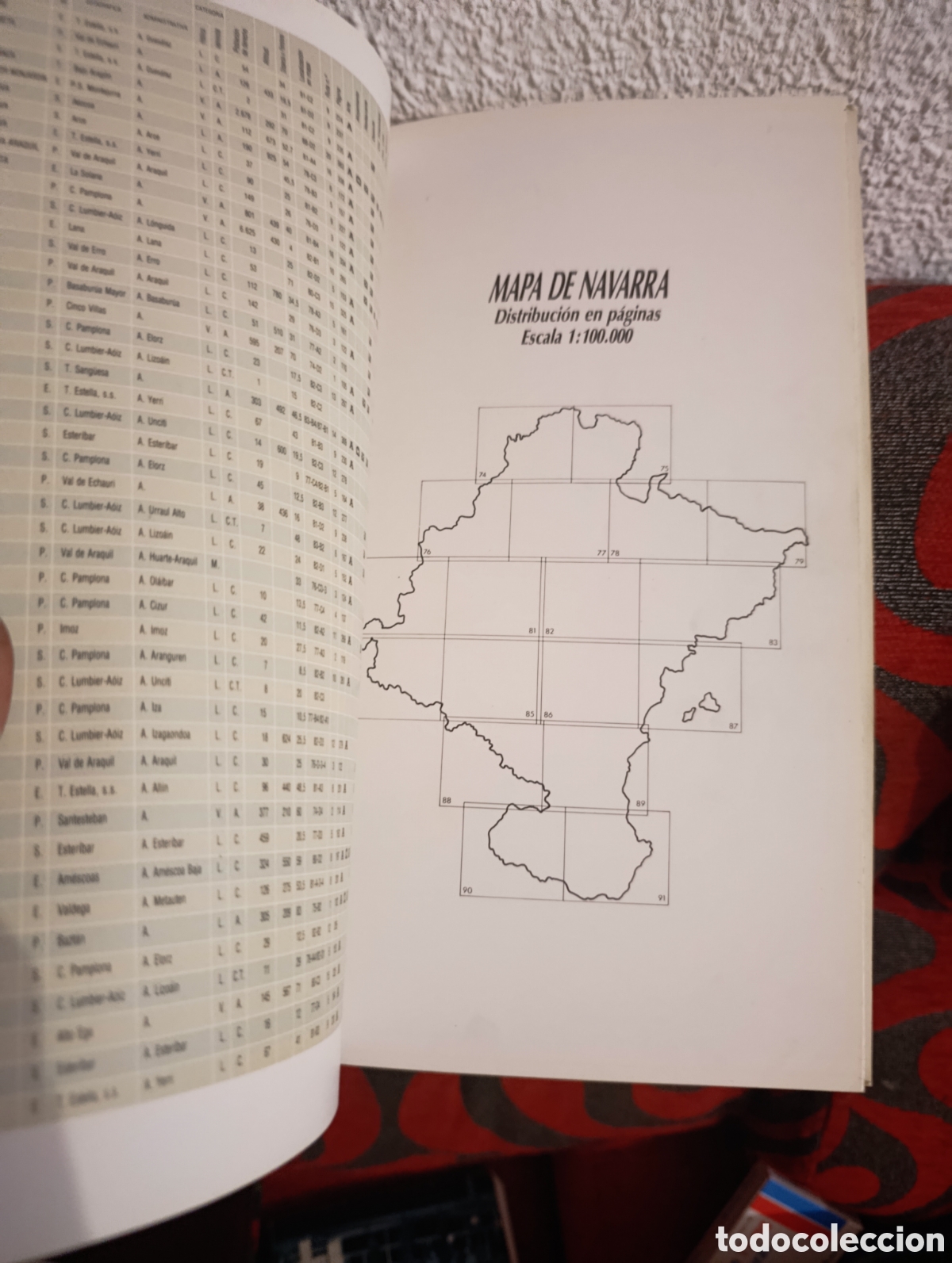 Libros: Navarra: gu&iacute;a y mapa. - Foto 3