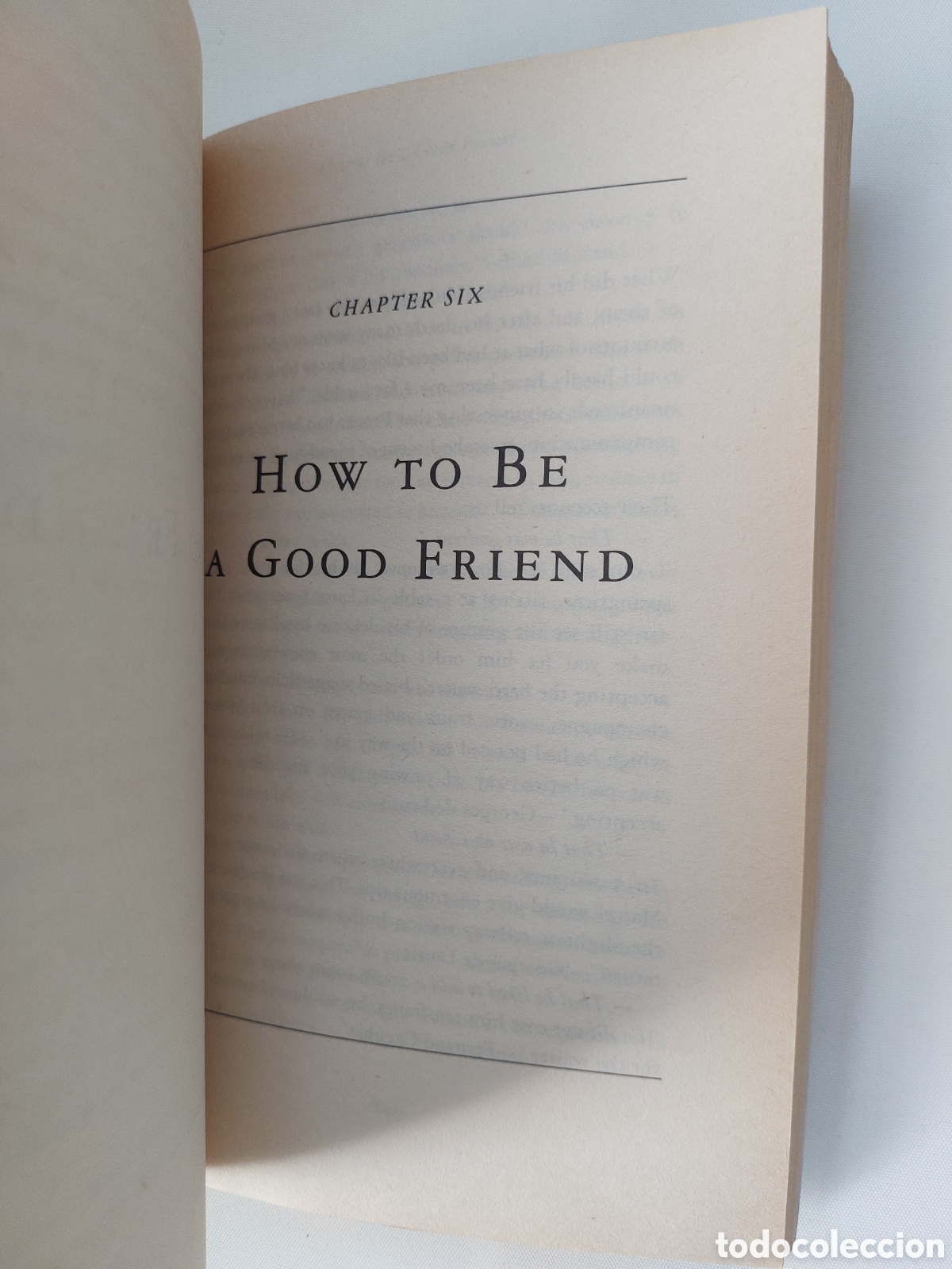 Libros: How Proust Can Change Your Life - Foto 3