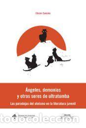 Libros: &Aacute;ngeles, demonios y otros seres ultratumba: Las paradojas del ate&iacute;smo en la literatura infantil -