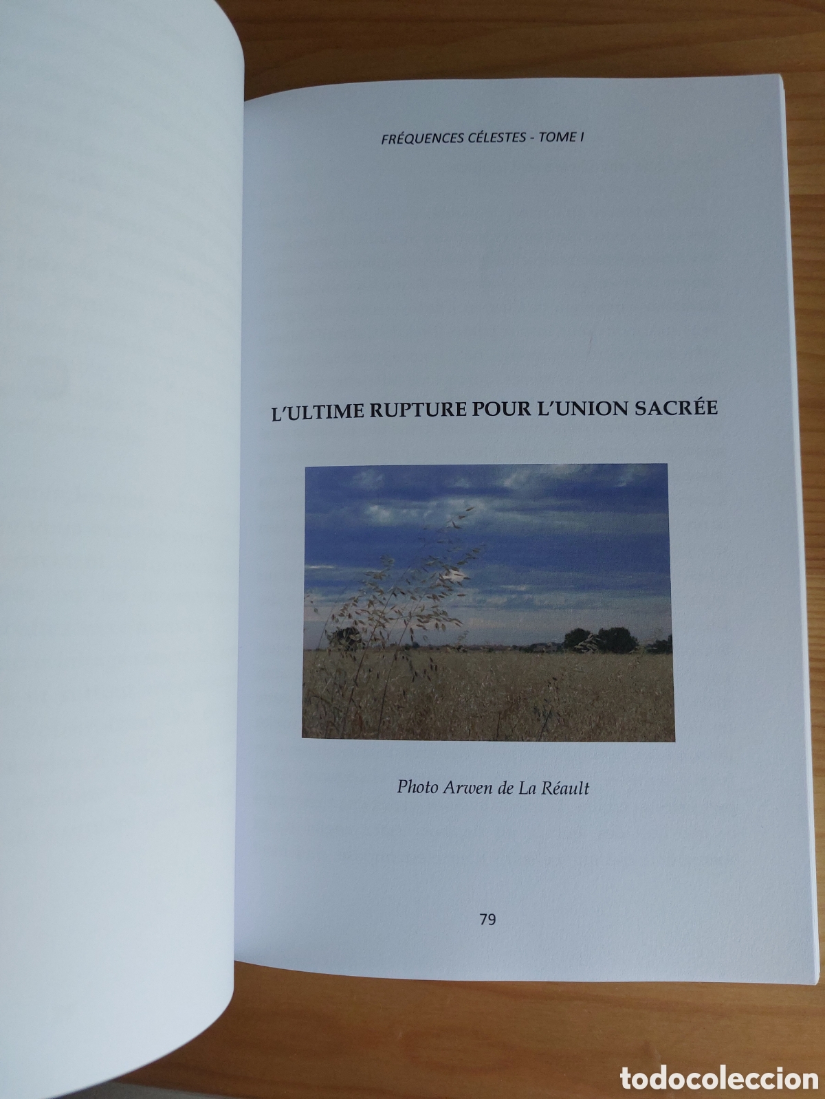 Libros: Fr&eacute;quences c&eacute;lestes. Tome I - Foto 2