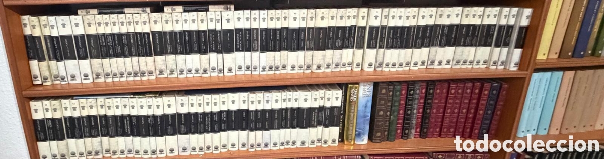 Libros: Los cl&aacute;sicos de Grecia y Roma. 100 tomos