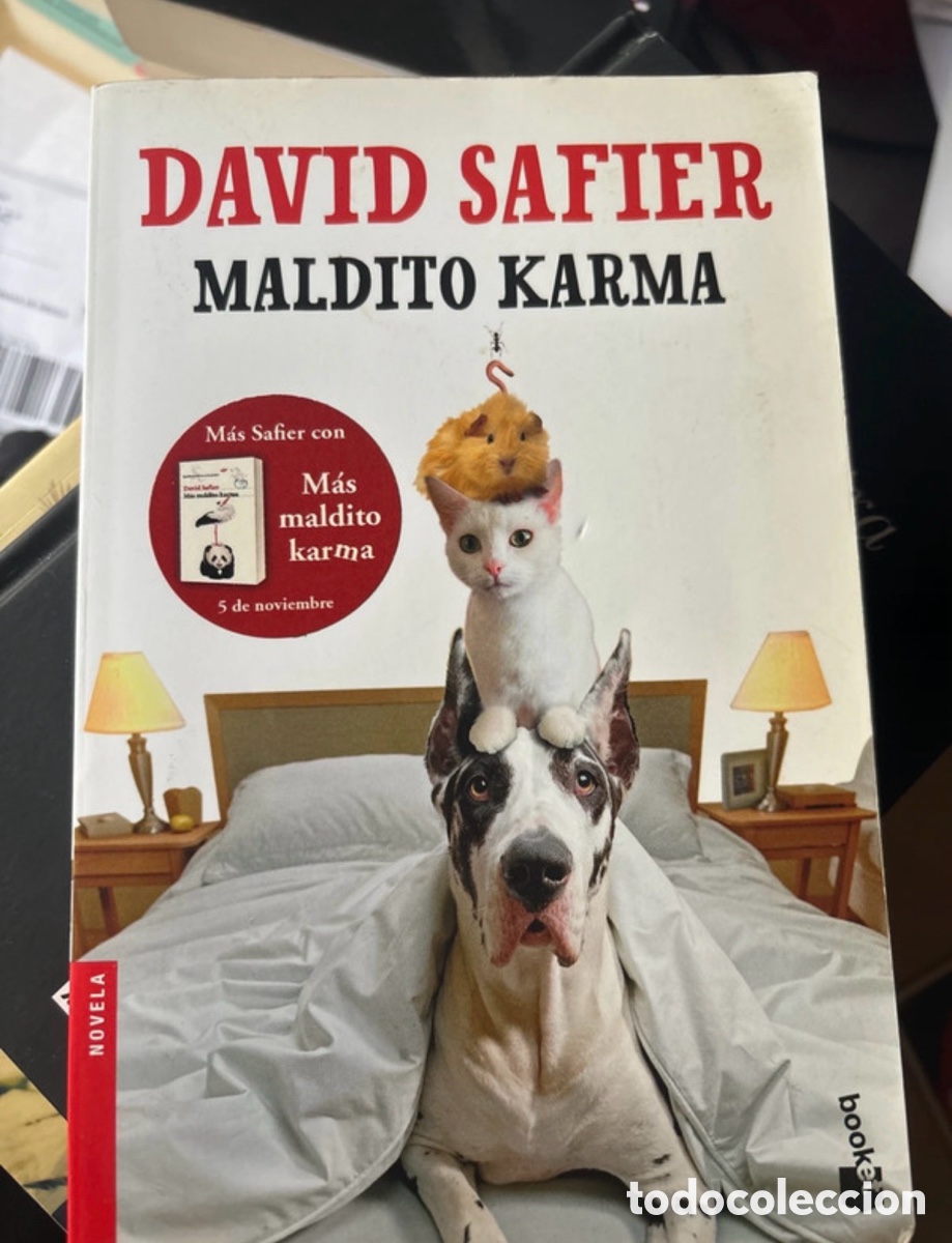 Libros: Maldito Karma David Safier - Foto 1