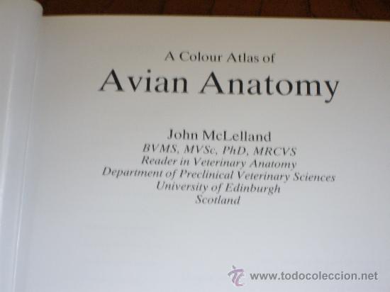 Libros: AVIAN ANATOMY - Foto 2