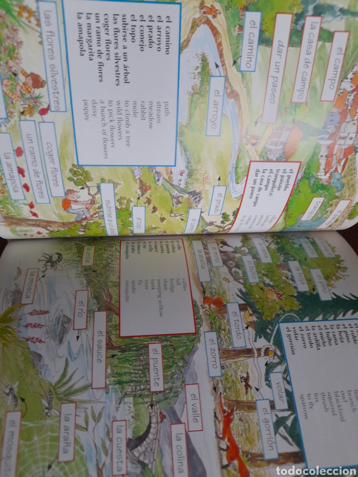 Libros: Spanish dictionary for beginners - Foto 3