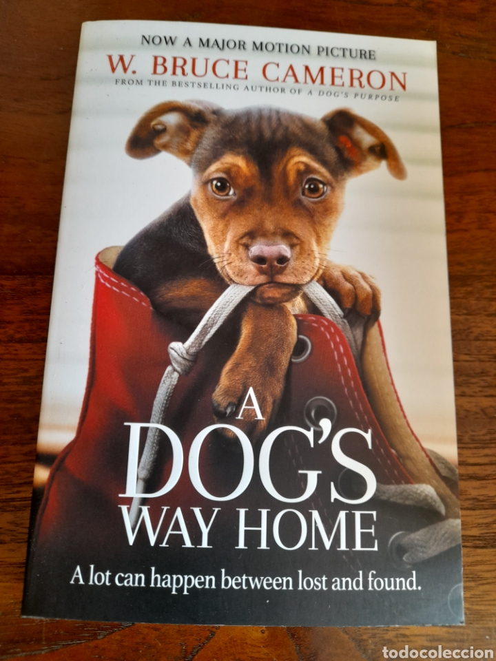 Libros: A dogs Wayne home. Bruce Cameron - Foto 1