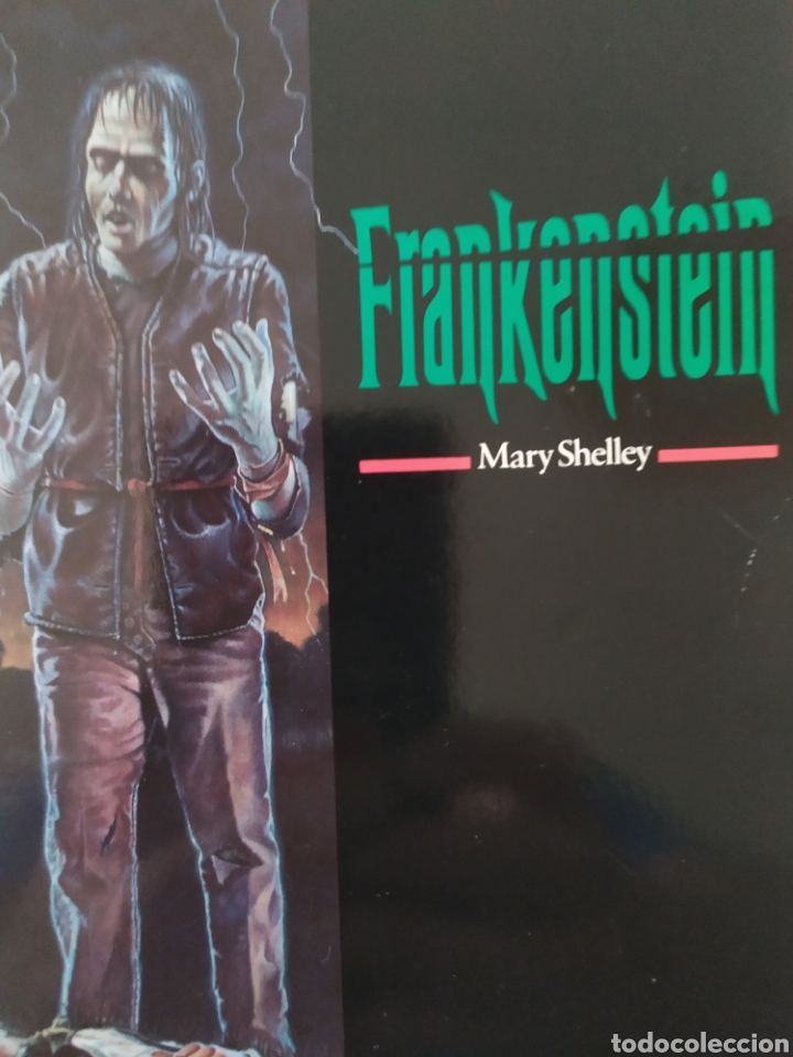 Libros: Frankenstein - Foto 1