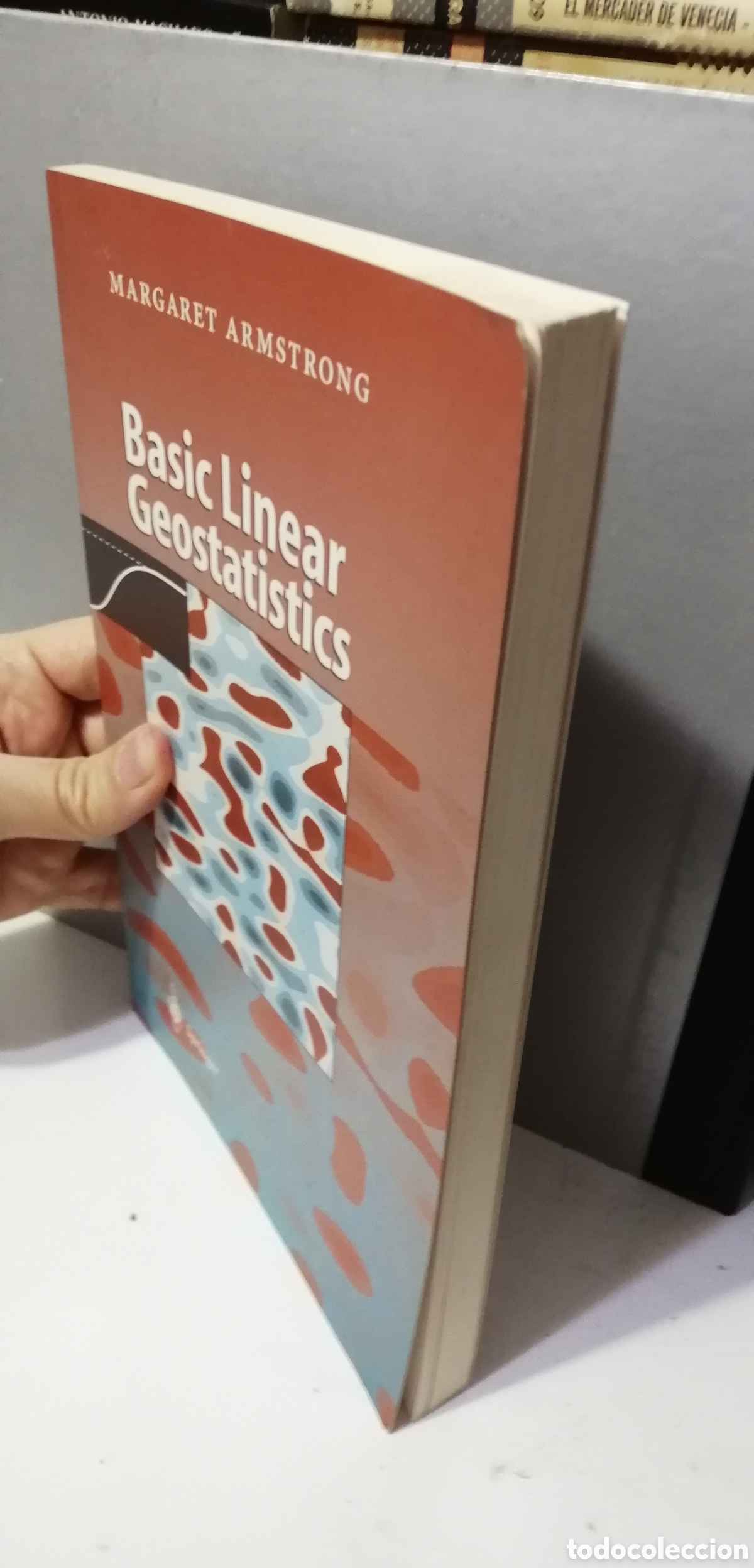 Libros: Basic Linear Geostatistics Margaret Armstrong 1998 English book Libro en ingl&eacute;s - Foto 3