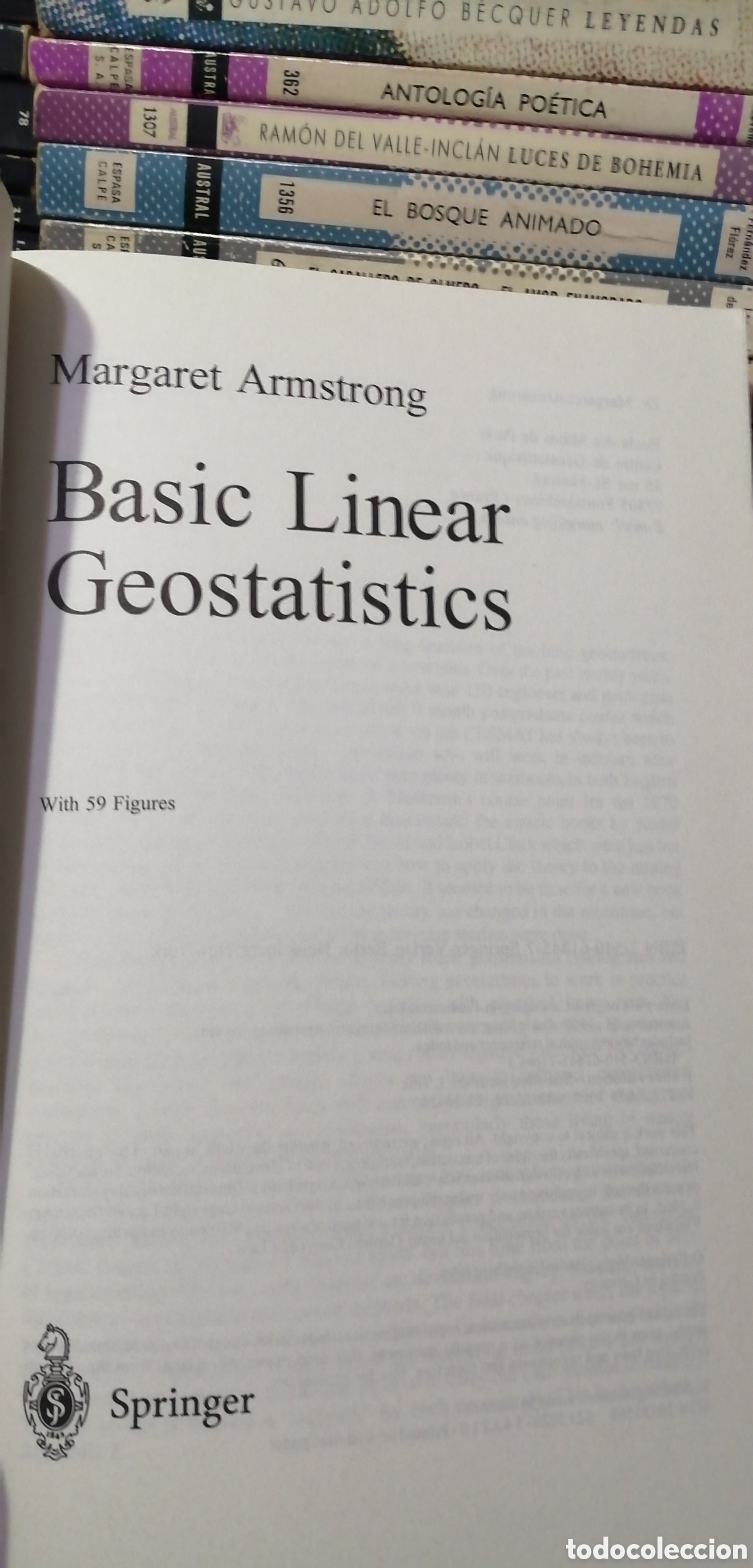 Libros: Basic Linear Geostatistics Margaret Armstrong 1998 English book Libro en ingl&eacute;s - Foto 6