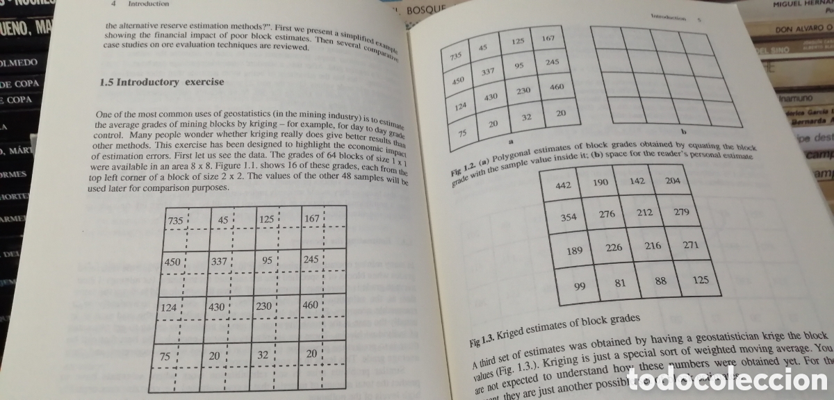Libros: Basic Linear Geostatistics Margaret Armstrong 1998 English book Libro en ingl&eacute;s - Foto 16