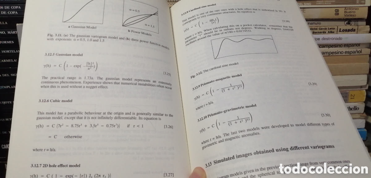 Libros: Basic Linear Geostatistics Margaret Armstrong 1998 English book Libro en ingl&eacute;s - Foto 17