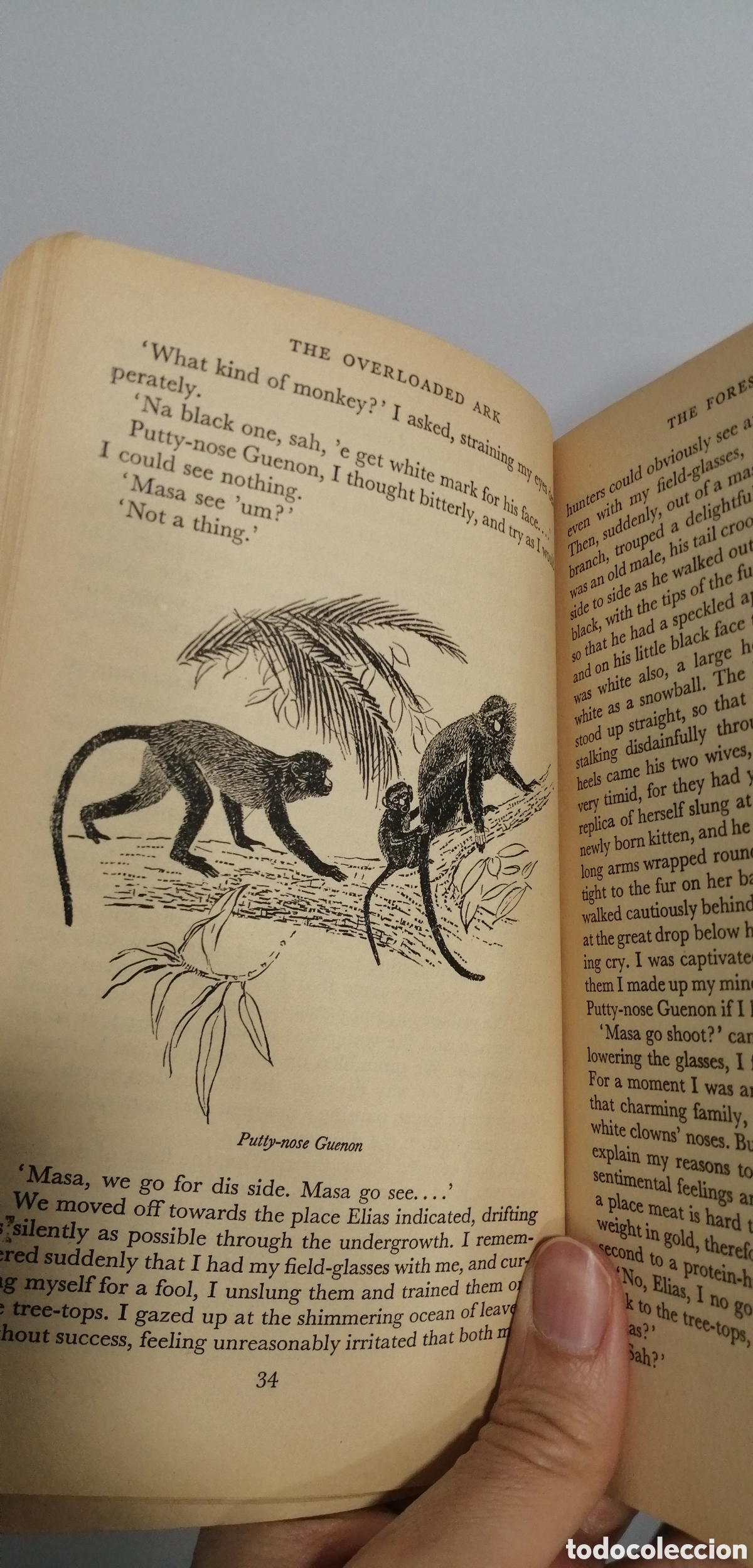 Libros: The Overloaded Ark Gerald Durrell Penguin Books 1957 - Foto 9