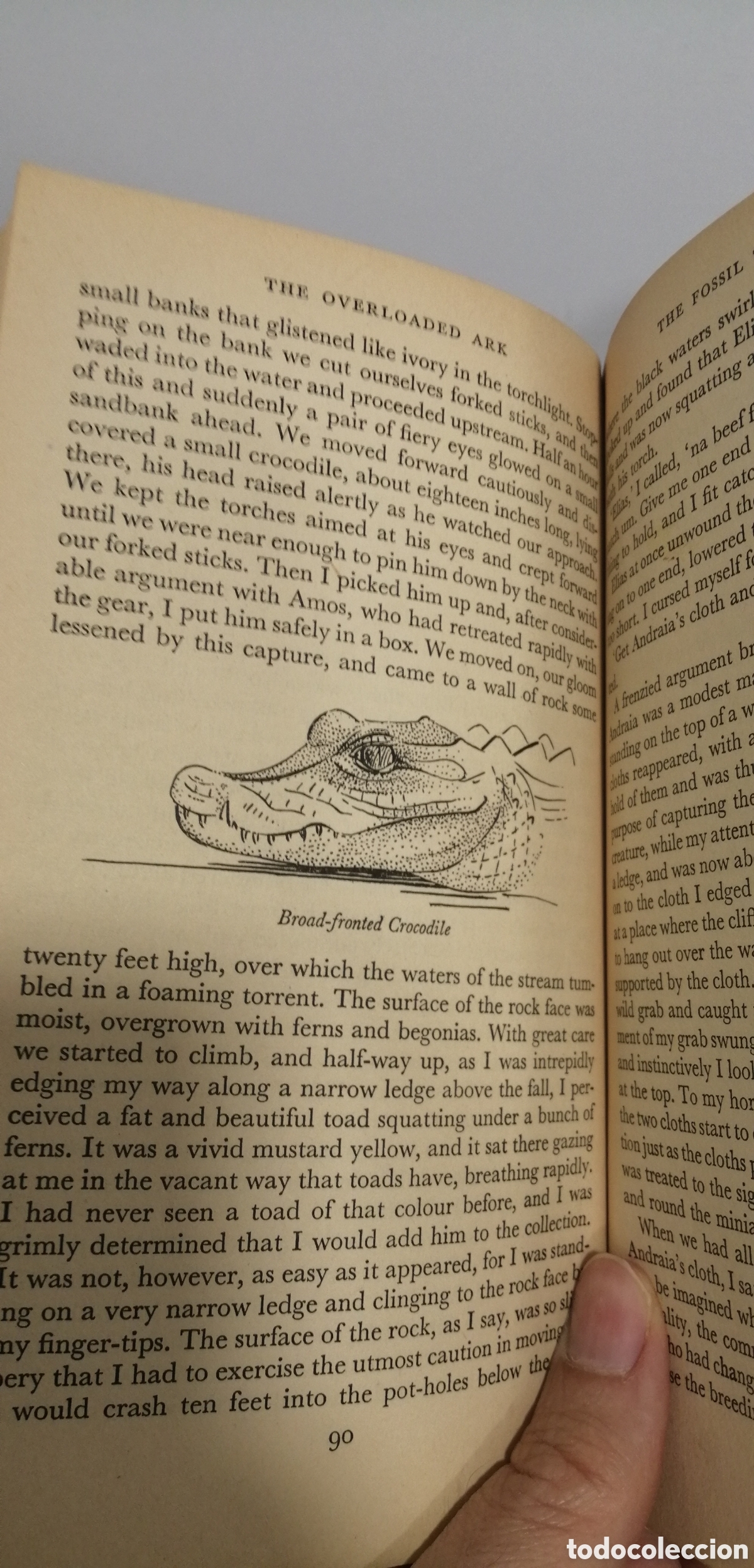 Libros: The Overloaded Ark Gerald Durrell Penguin Books 1957 - Foto 10