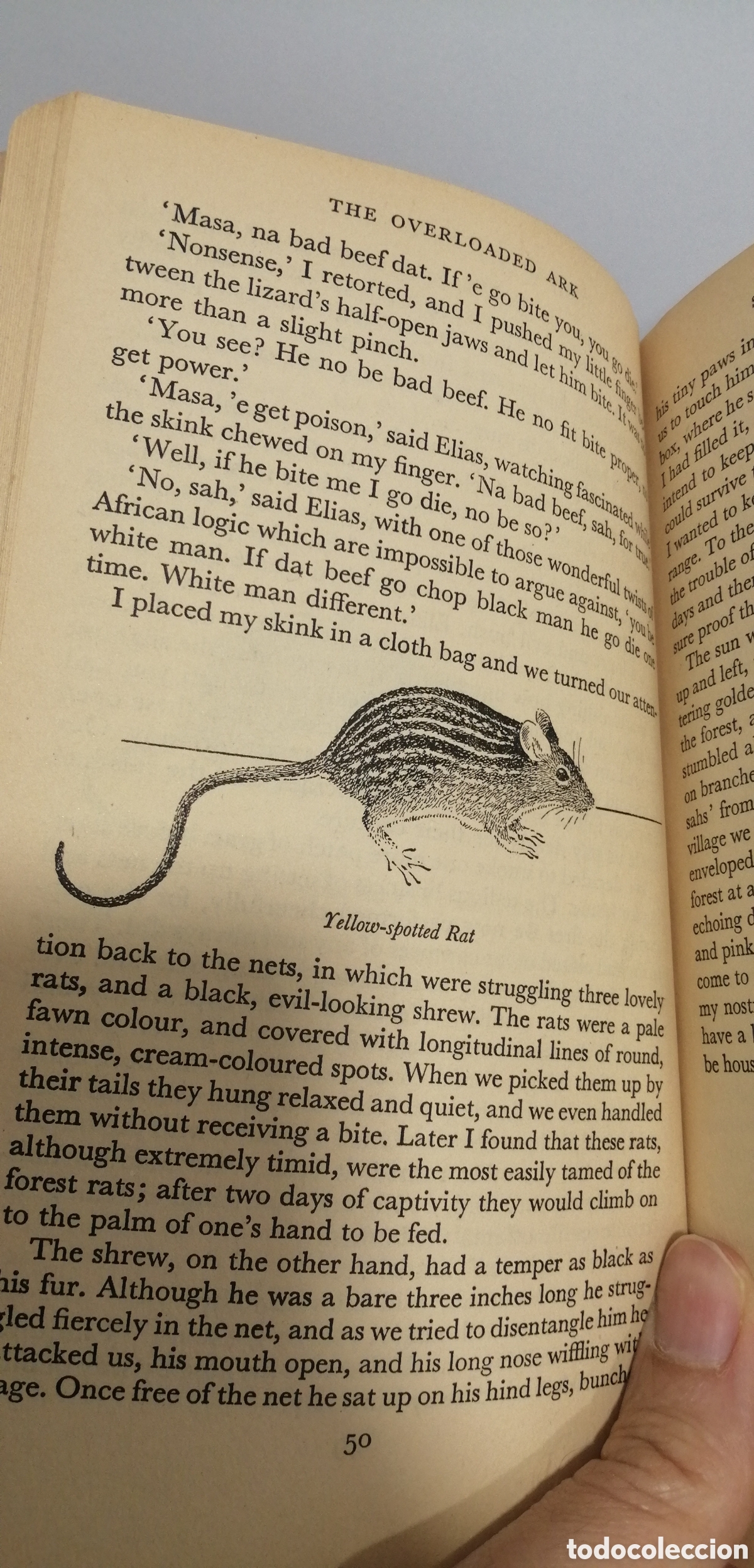 Libros: The Overloaded Ark Gerald Durrell Penguin Books 1957 - Foto 11