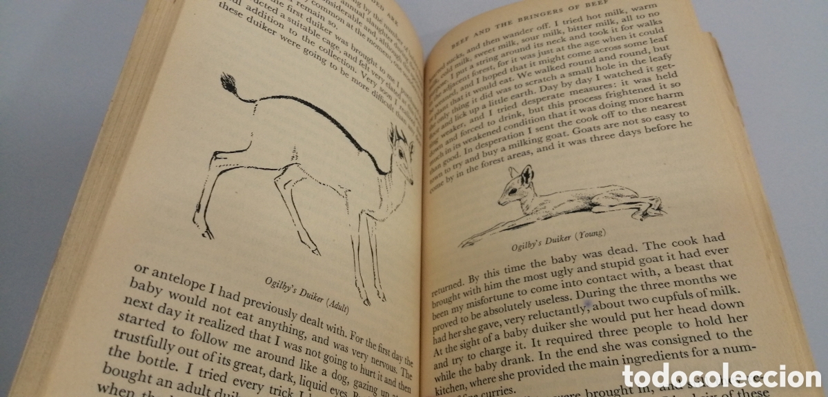 Libros: The Overloaded Ark Gerald Durrell Penguin Books 1957 - Foto 12