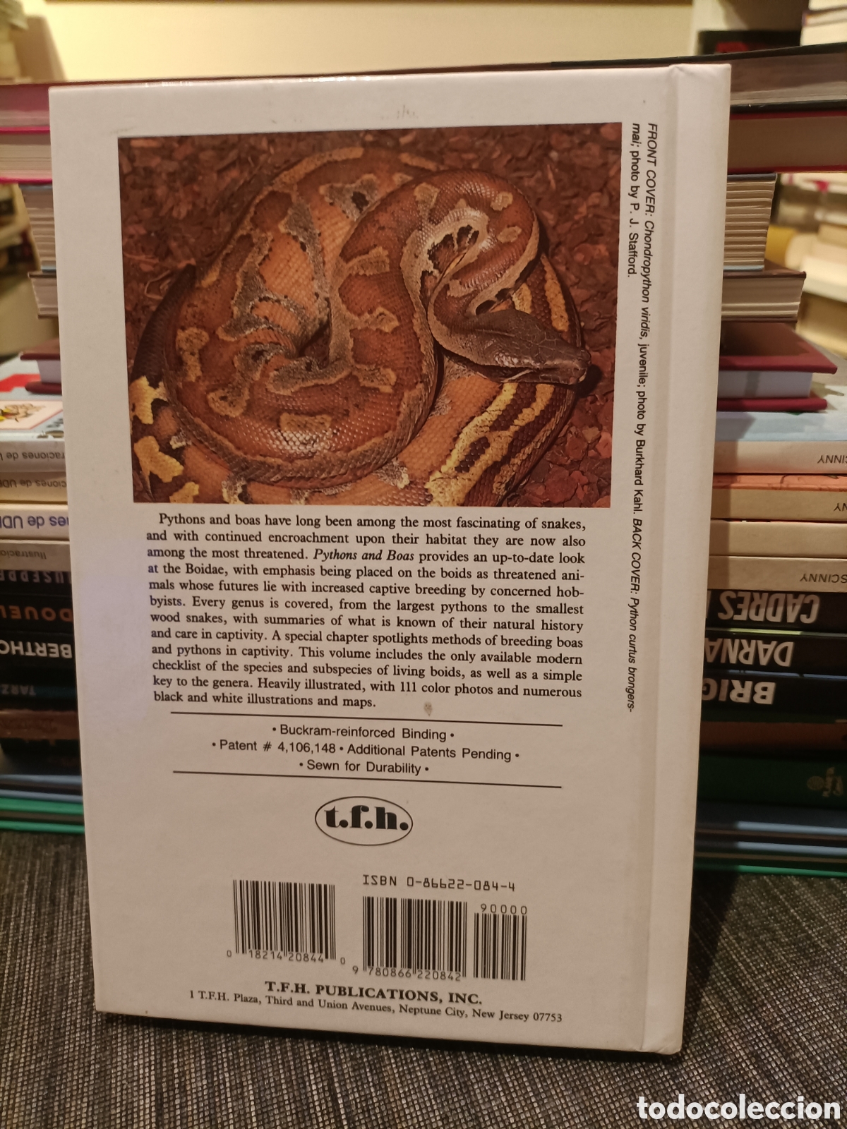 Libros: Pythons and Boas,Peter J. Stanfford, a&ntilde;o1986 - Foto 2