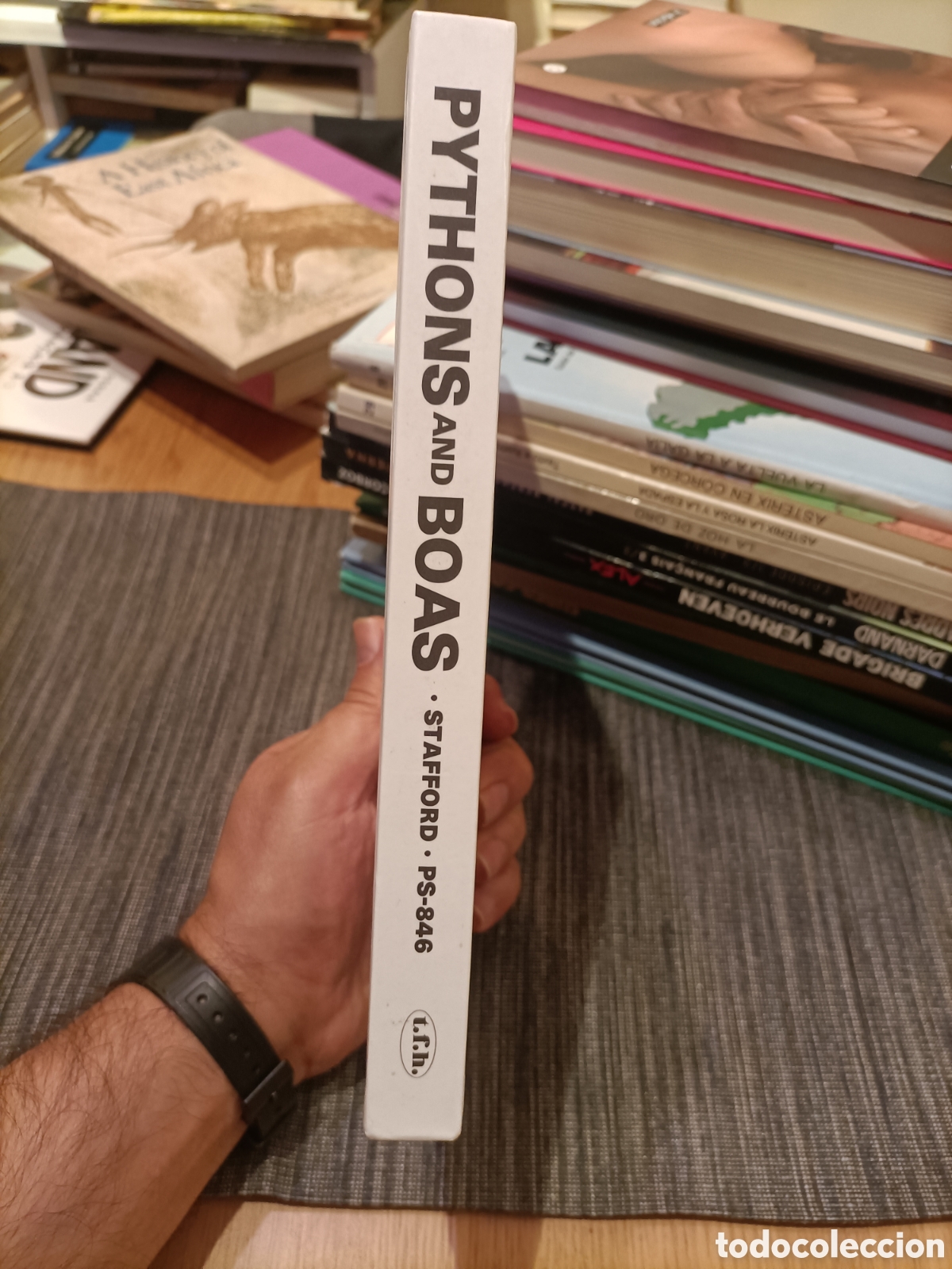 Libros: Pythons and Boas,Peter J. Stanfford, a&ntilde;o1986 - Foto 3