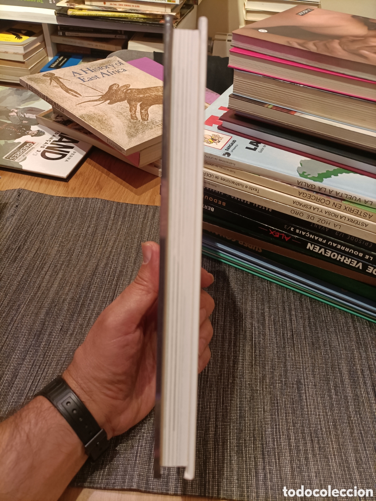 Libros: Pythons and Boas,Peter J. Stanfford, a&ntilde;o1986 - Foto 4