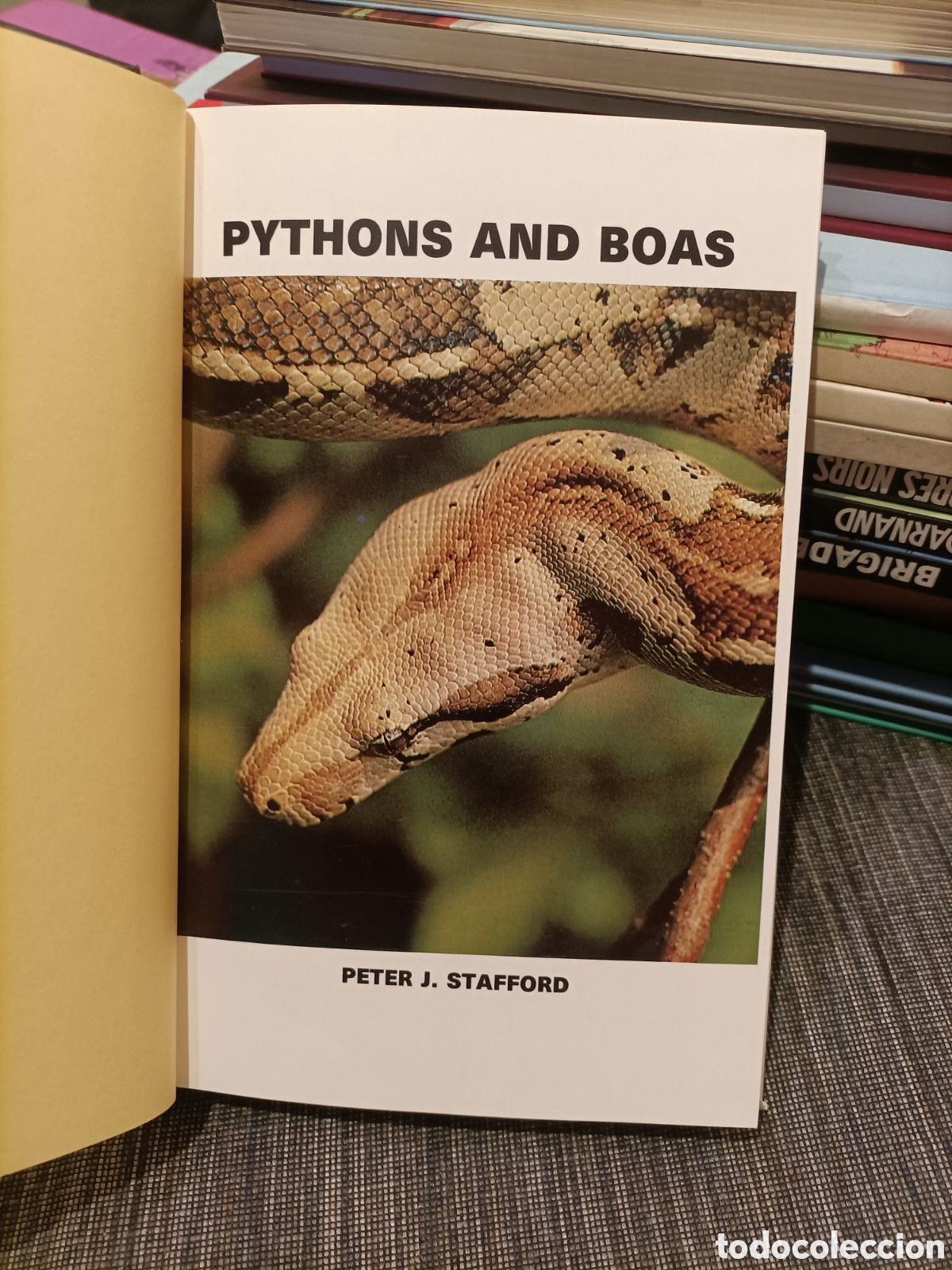 Libros: Pythons and Boas,Peter J. Stanfford, a&ntilde;o1986 - Foto 5
