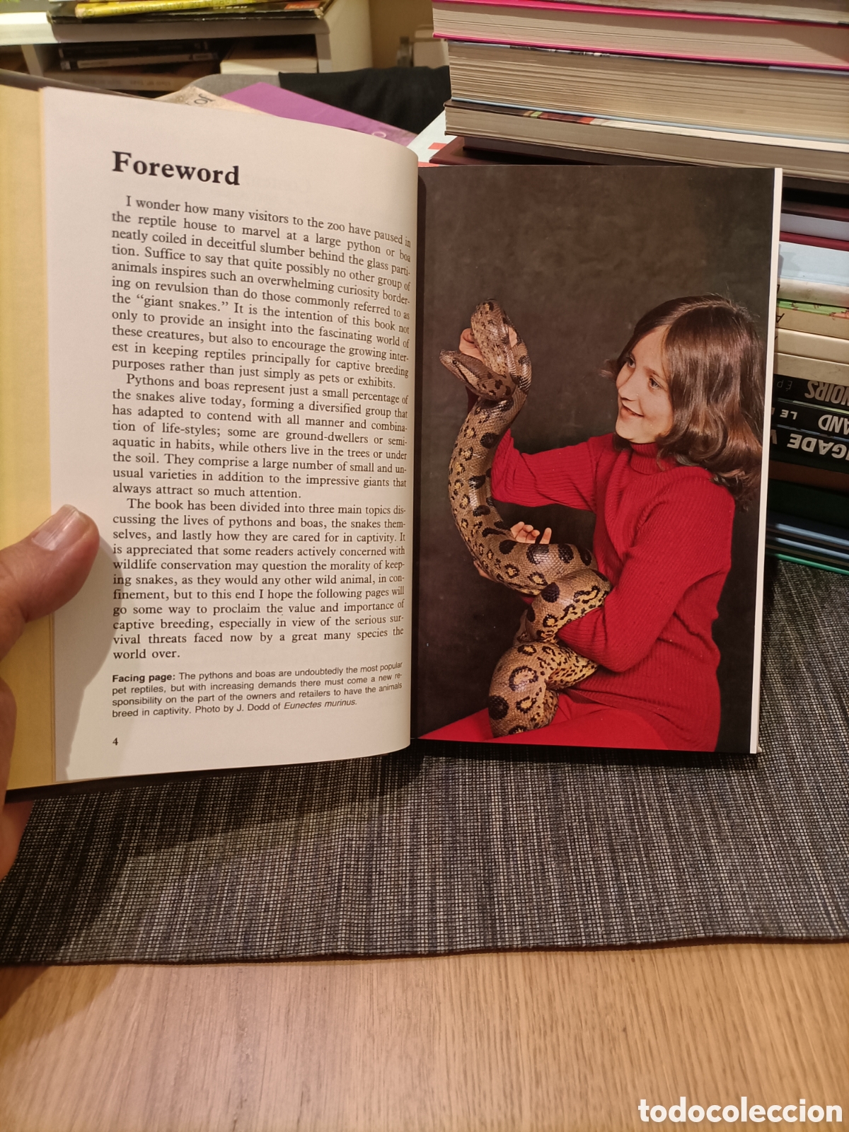 Libros: Pythons and Boas,Peter J. Stanfford, a&ntilde;o1986 - Foto 7