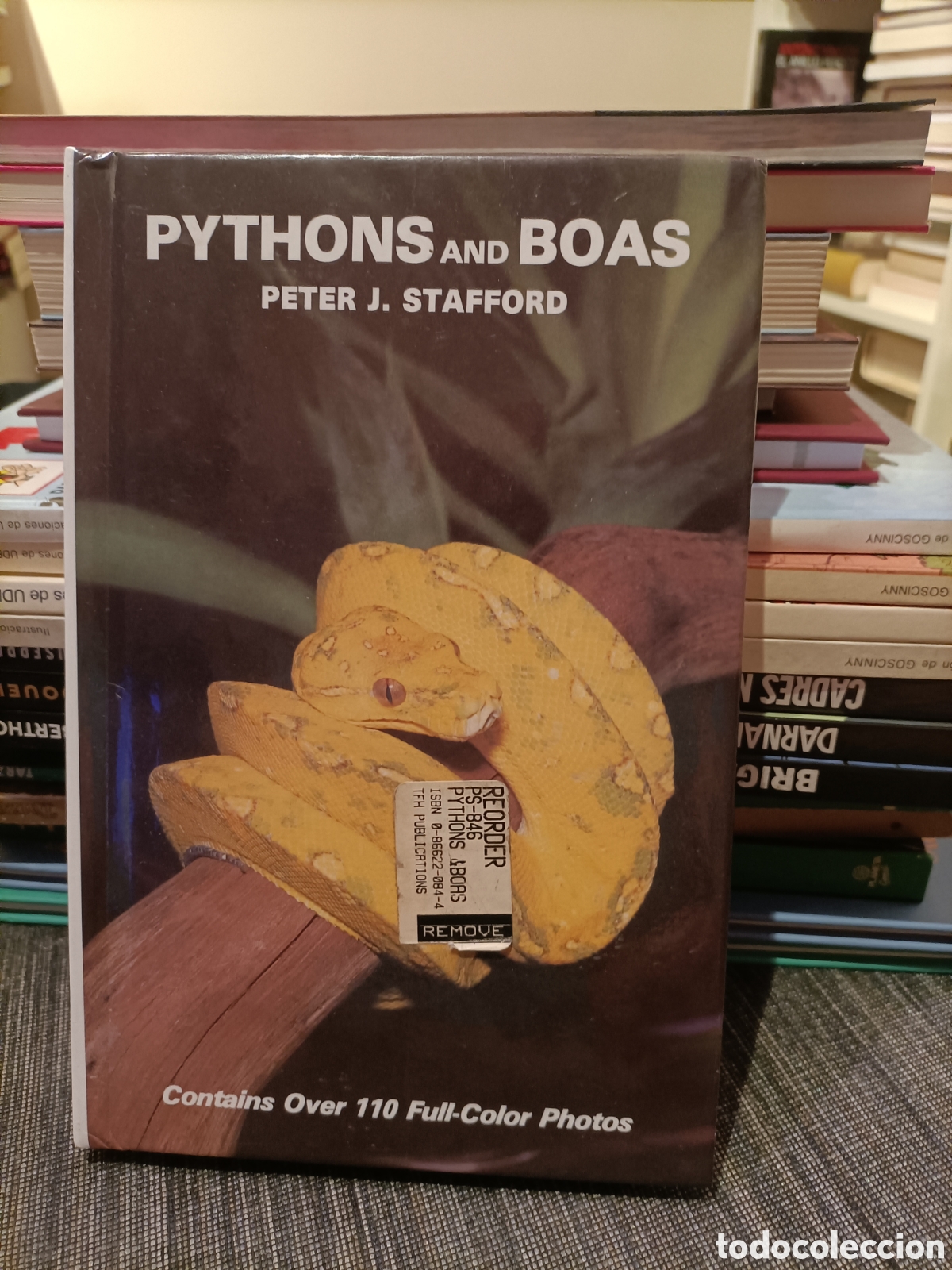 Libros: Pythons and Boas,Peter J. Stanfford, a&ntilde;o1986 - Foto 1