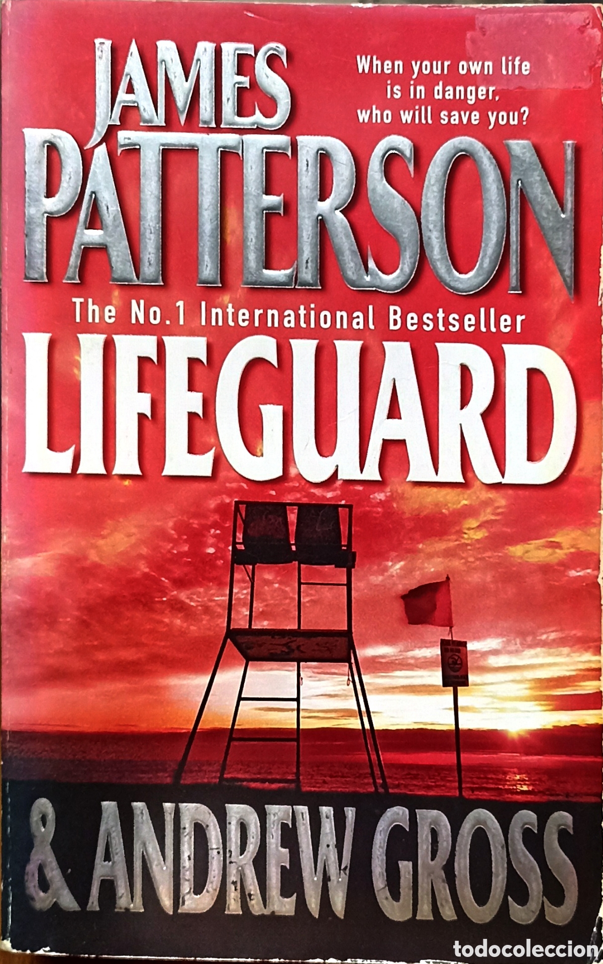Libros: Life Guard - James Paterson & Adrew Gross - Foto 1