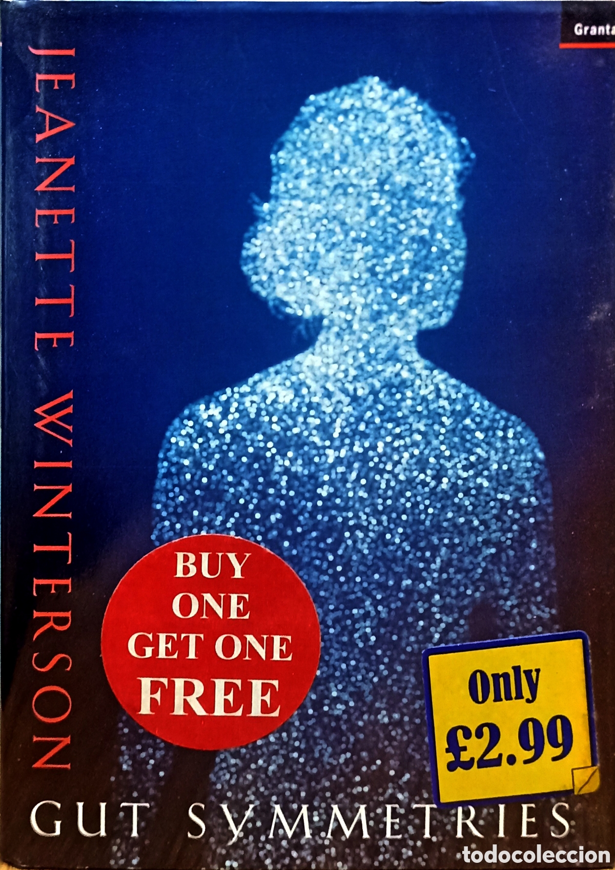 Libros: Gut Symmetries - Jeanette Winterson - Foto 1