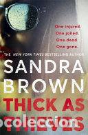 Libros: THICK AS THIEVES - BROWN, SANDRA - Foto 1