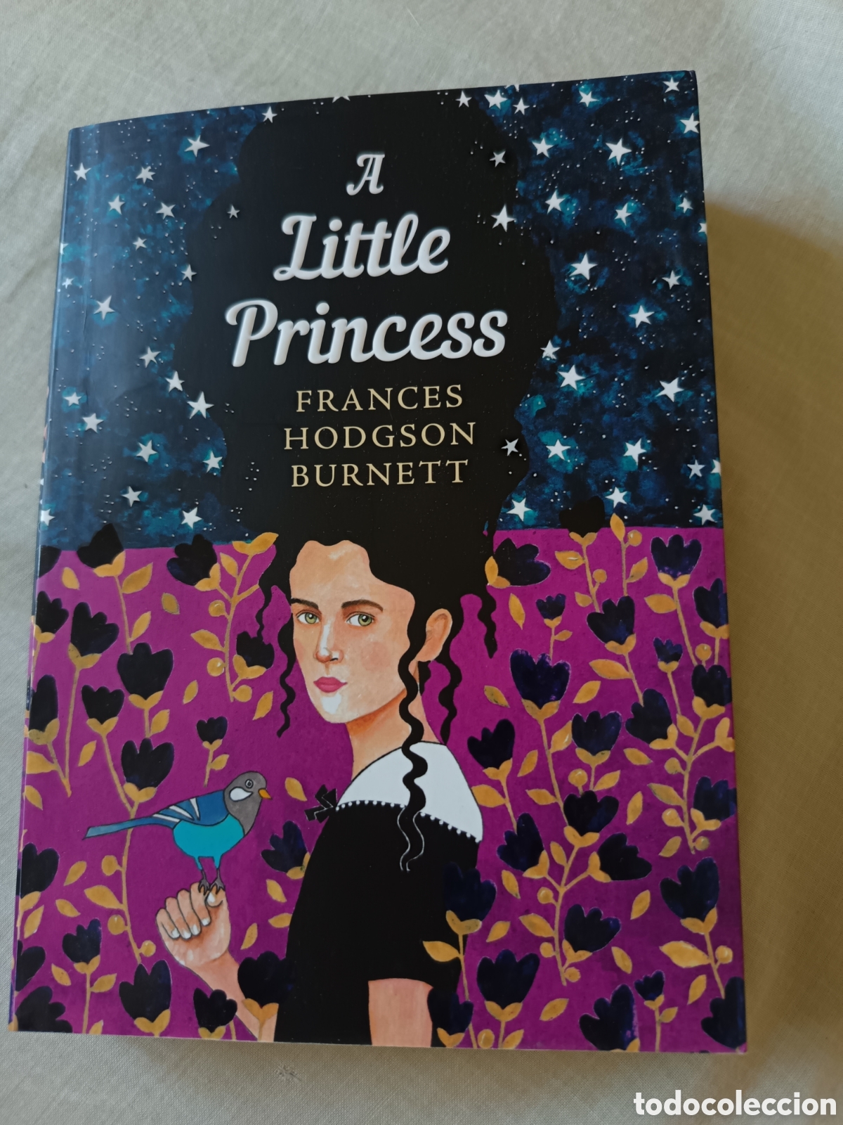 Libros: A little princess Frances Hodgson Burnett
