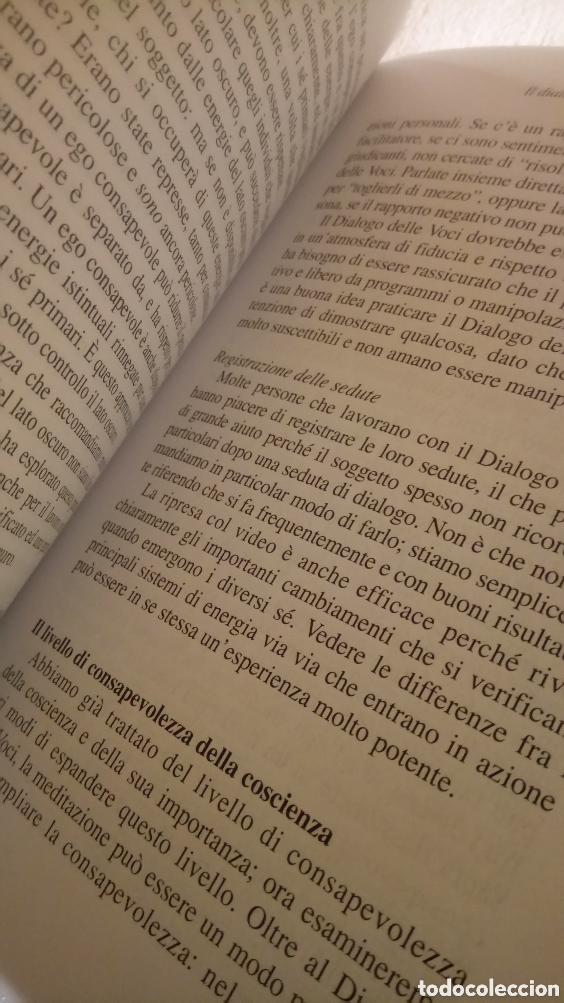 Libros: Il dialogo del le voci - Foto 4