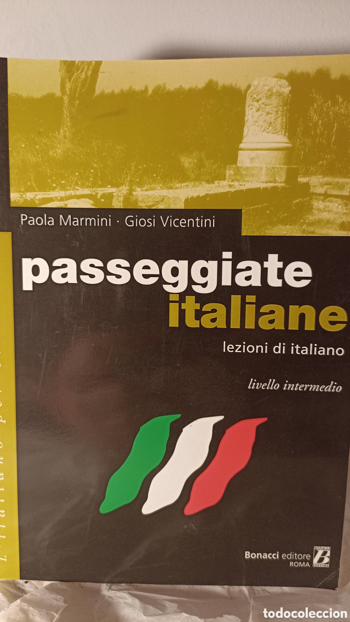 Libros: Passeggiate italiane: lezioni di italiano - Livello intermedio&rdquo; de Paola Marmini y Giosi Vicentini.