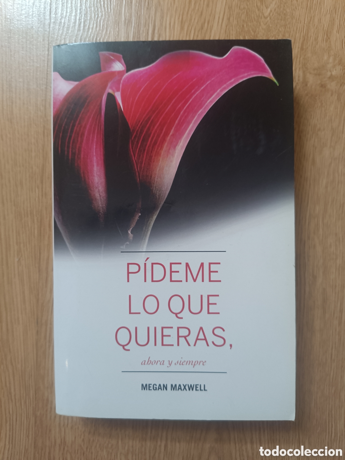 Libros: Libro P&iacute;deme lo que quieras - Foto 1