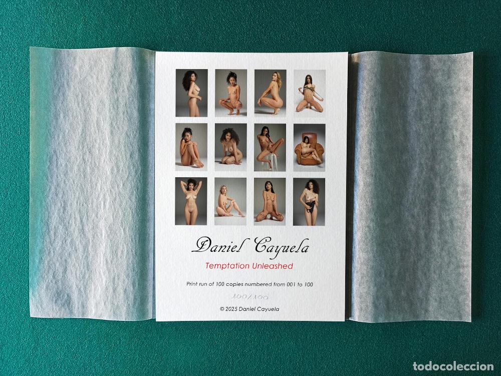 Libros: PORTAFOLIO TEMPTATION UNLEASHED - Foto 3